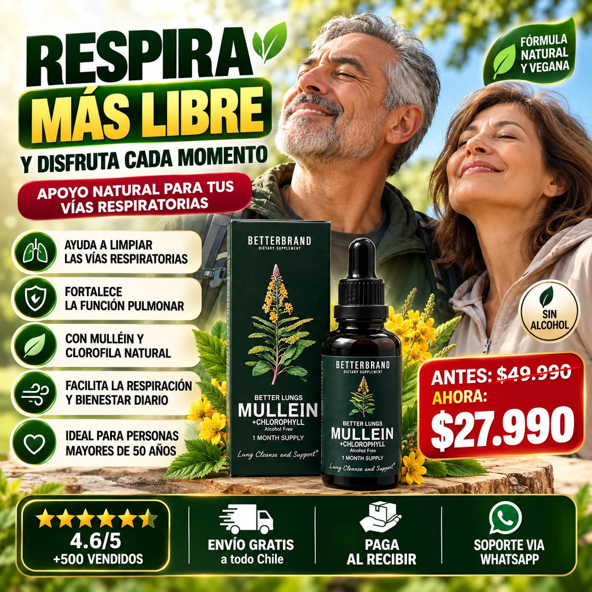 Mullein Clorofila™ – Purificación y desintoxicación pulmonar avanzada